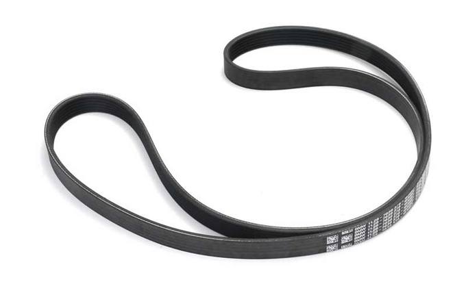 BMW Accessory Drive Belt (6K 1555) 11287636378